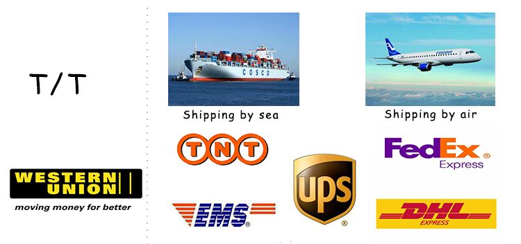 payment and shipment