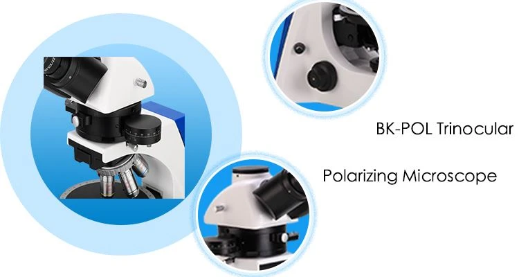 Polarizing Digital Microscope factory