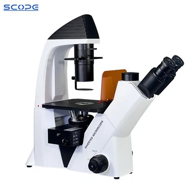 Microscope à fluorescence inversé 100X-400X pour la culture cellulaire