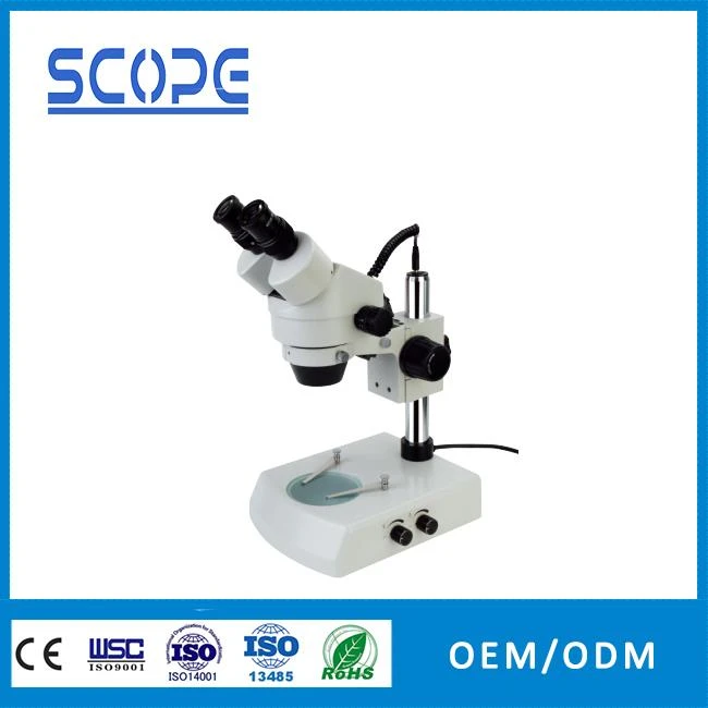 XTL7045-B2 binocular stereo microscope