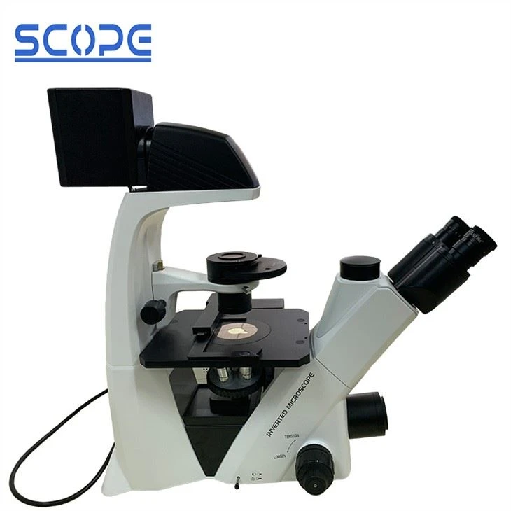 Microscope Biologique Inversé à LED