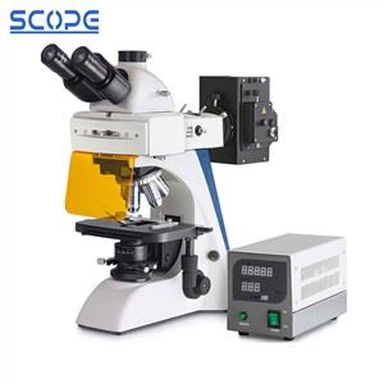 Microscope à fluorescence biologique trinoculaire