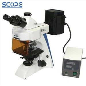 Lampe au mercure Epi Fluorescence Microscopie